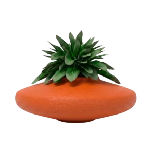 Macetas bonsai