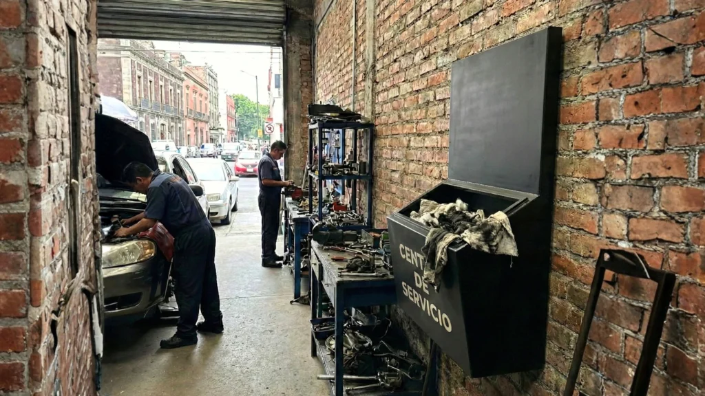 Organizador plástico