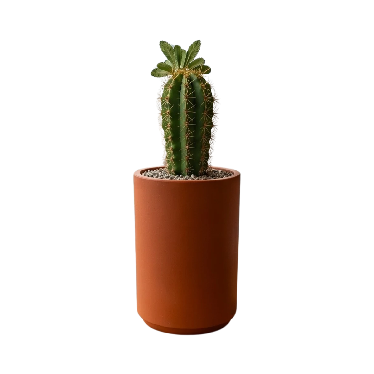 MACETA HIDROMACETERO TSSM-MR59