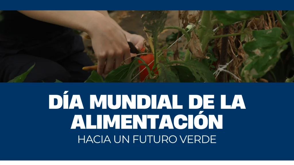 imagen del día mundial de la alimentación