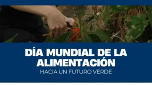 Día Mundial de la Alimentación