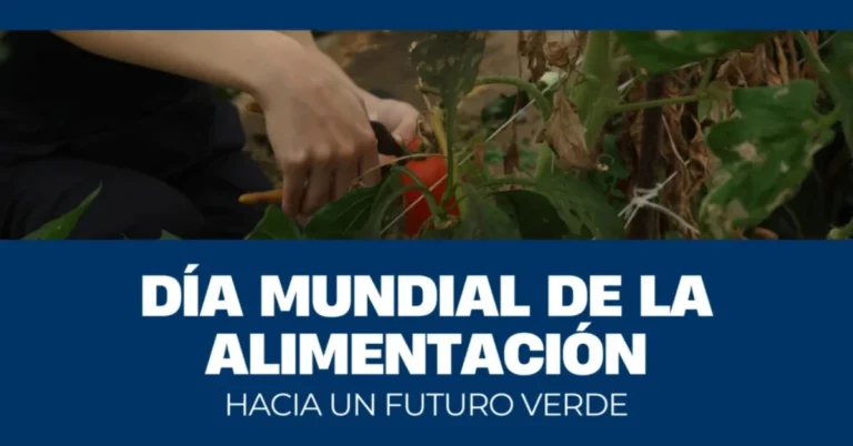 Día Mundial de la Alimentación