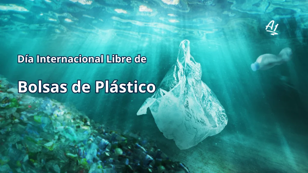 Plástico