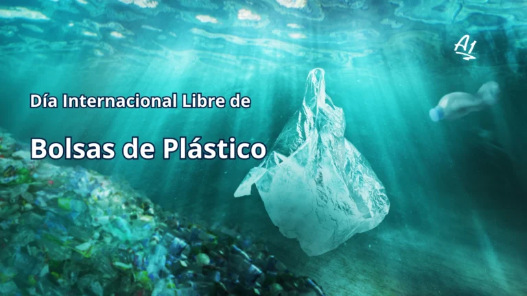 plástico
