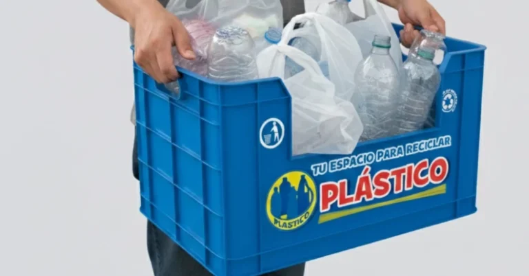 Cajas de plástico apilables para reciclaje Cajas de plástico grandes para almacenamiento Venta de cajas plásticas industriales Cajas organizadoras de plástico con tapa Cajas de plástico colapsables precio (Para ahorrar espacio) Cómo hacer estanterías con cajas de plástico de frutas (Manualidades y reciclaje creativo) Cajas de plástico por colores para separar residuos Cajas de plástico transparentes para inventario Gavetas de plástico apilables para tornillos (Uso en ferretería u hogar) Cajas de plástico para debajo de la cama (Almacenamiento doméstico)