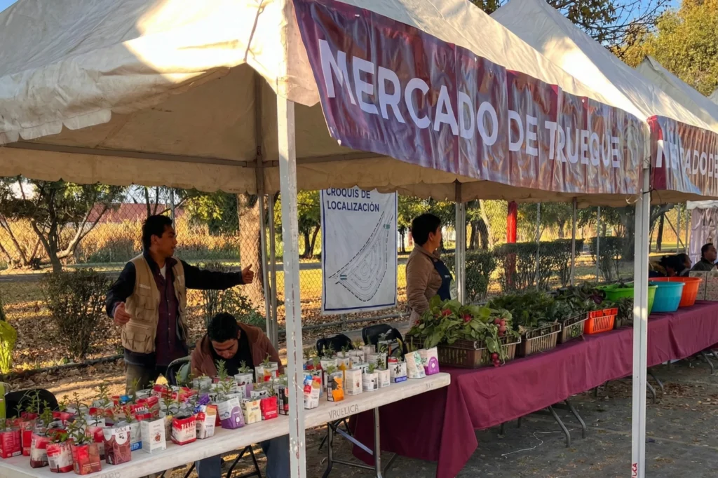 programa de intercambio ambiental en la Ciudad de México que promueve el reciclaje y la separación de residuos